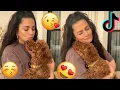 KISS YOUR DOG ON THE HEAD TIKTOK TRENDS CUTE AND SWEET DOGS DOGS COMPILATION CHALLENGE