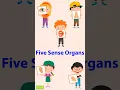 Sense organs For Kids Kids Learning