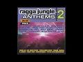 Download Lagu Various - Ragga Jungle Anthems Vol. 2 (1996)