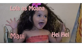 check out moana and her wayfinder canoe playhouse adventure collection and hei hei plush