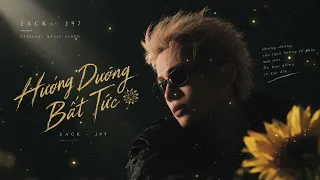 Hướng dương bất tức