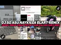 DJ HAAAA PELUKAN YANG HANGAT MENJADI BAYANGAN | DJ SO ASU NAYKILLA ELART REMIX VIRAL TIKTOK