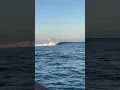 Download Lagu Not a bad sight to pull up to                      #surf #waves #fiji