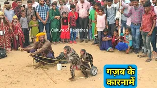 monkey drama bandar bandariya ka khel famous video