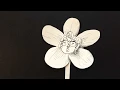 a flower