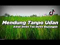 Download Lagu DJ MENDUNG TANPO UDAN || AWAK DEWE TAU DUWE BAYANGAN