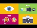 Compare the Working of a Human Eye with a Camera Lens - Knowledge Platform