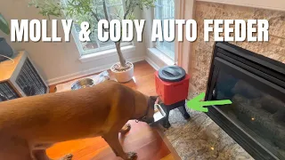 Large Dog Busy Schedule This Auto Feeder Is Built for You