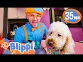 Blippi Visits a Pet Salon BEST OF BLIPPI TOYS Cute Animal s for Kids