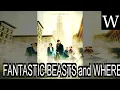 FANTASTIC BEASTS and WHERE to FIND THEM film - WikiVidi Documentary