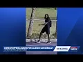 Lee County deputies seek individual in connection with burglary near Lehigh Acres dog park