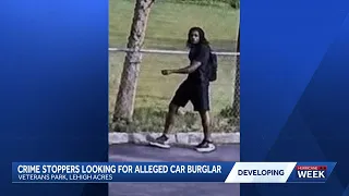 Lee County deputies seek individual in connection with burglary near Lehigh Acres dog park