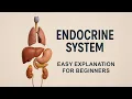 Endocrine System Anatomy Physiology Complete Breakdown for Students