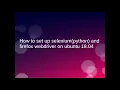 How to set up selenium python and Firefox Webdriver on Ubuntu 18 04