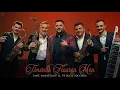 Download Lagu Fane Banateanu \u0026 Petrica Nicoara - Tinerete floarea mea 🌹
