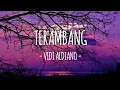 Download Lagu vidi aldiano - terambang