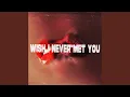 Wish I Never Met You Extended Mix