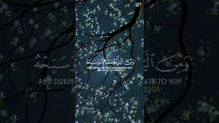 قران كريم القارئ إسلام صبحي حالات واتس اب دينيه 