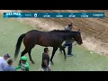 Van Gogh Style wins race 8 at Del Mar 26