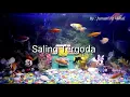 Download Lagu Karaoke SALING TERGODA - Stereo