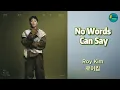No Words Can Say (달리 표현할 수 없어요) by Roy Kim 로이킴 (Rom & Eng Lyrics)