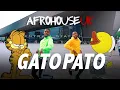 Milo \u0026 Fabio - GATO PATO  (Official Video) #GatoPatoChallenge