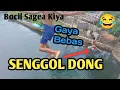 VIRAL😲!!!Bocil Loncat Gaya Bebas Ke Dalam Air