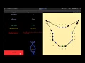 Unity3D Genetic Algorithm