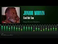Download Lagu Junior Murvin - Cool Out Son (Real Rock Riddim) [HD]
