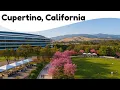 10 Best Things to Do in Cupertino California