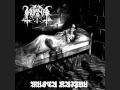 Download Lagu Horna -  Marraskuussa