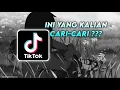 Alan Walker - Lily Slowed \u0026 Reverb TIKTOK Version