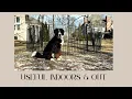 This Dog Playpen Finally Contained My Big Dog Indoor Outdoor Test