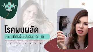 อาหารประเภทไหนช่วยบำรุงผมและลดอาการผมร่วงได้