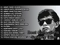 Download Lagu Saleem Iklim: Nostalgia Hits! Koleksi Lagu Terbaik