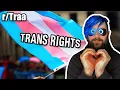 Trans Rights silly memes