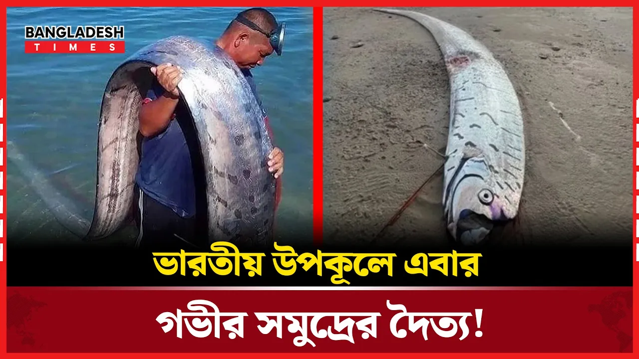 সমুদ্র পেরিয়ে ভারতে এল প্রলয়ের বার্তাবাহক 'ডুমসডে ফিশ'