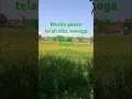 Download Lagu #Jawa barat pesta panen padi