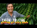 Lagu Cà Phê Thiện Trương Chuẩn Là Lựa Chọn TỐT Nhất 2025