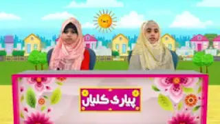 وڈیوز زارور دہگے یے گا شکریہ جناب داوت اسلامی کی باری مے ویڈیوز شکریاء  وڈیوز زارور دہگے یے گا شکریہ جناب داوت اسلامی کی باری مے ویڈیوز شکریاء