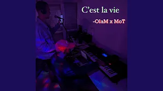 Download C'est la vie MP3