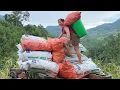 Download Lagu agricultural trucks transporting large loads of corn on hilltops