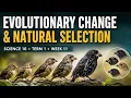 EVOLUTIONARY CHANGE NATURAL SELECTION - PART 1