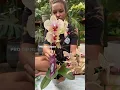 Download Lagu *Sprayed with hydrogen peroxide, not just H20 😂 #plantcare #orchid #houseplants #plantlover #plant