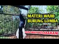 Lagu KACER KONSLET- MATERI BURUNG WALET
