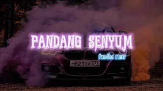 lagu goyang terbaru pandang senyum fandho rmxr