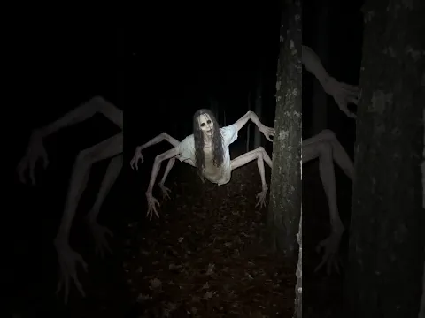met someone in the woods