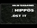 The Hippos - Lost It (karaoke)