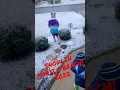 Myrtle Beach s Rarest Snow Day Kids Unforgettable Reactions