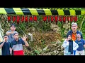 Download Lagu ADA KUBURAN MISTERIUS !